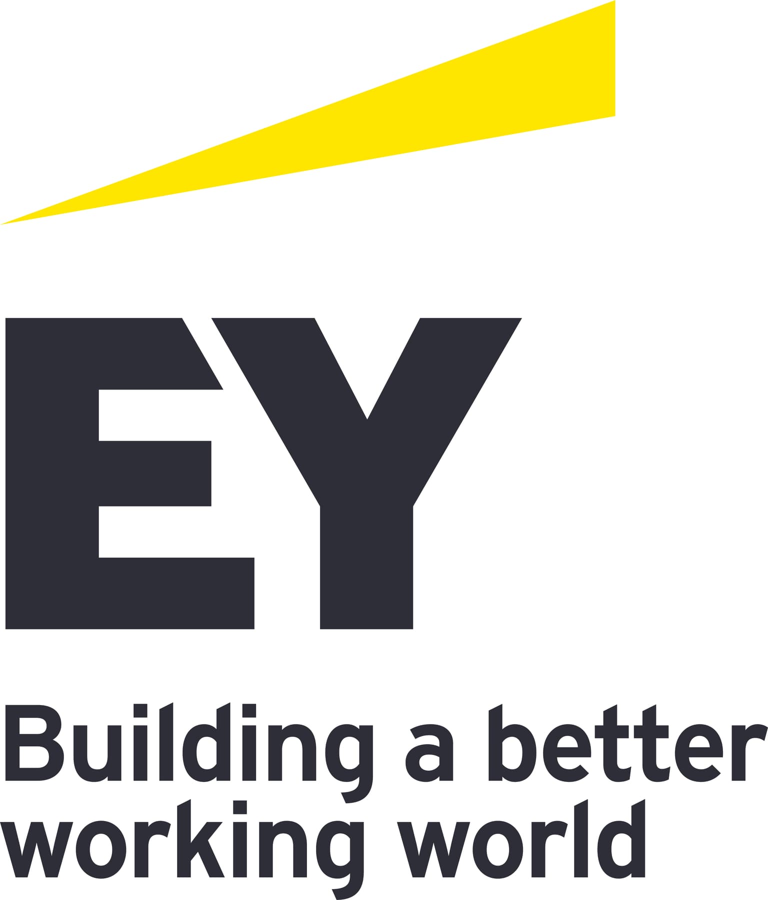 Ernst & Young (Game based: Equalture)